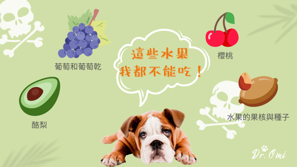 狗狗不能吃的水果，狗飲食禁忌