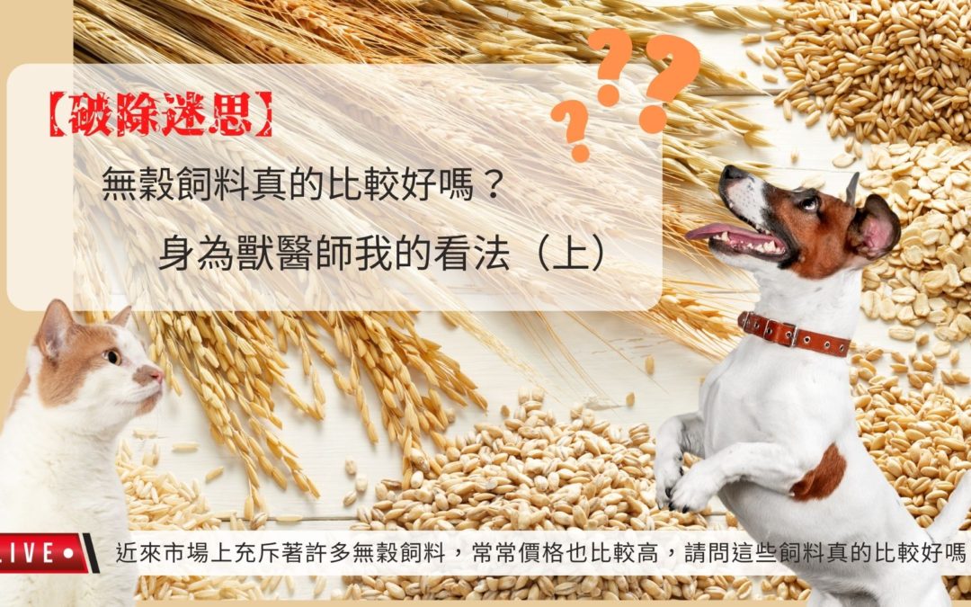 【破除迷思】無穀飼料真的比較好嗎？身為獸醫師我的看法（上）