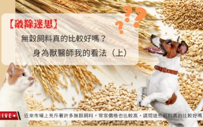 【破除迷思】無穀飼料真的比較好嗎？身為獸醫師我的看法（上）