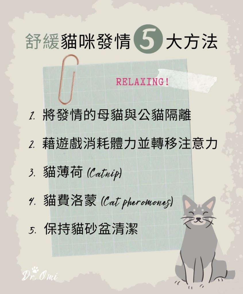 5大方法舒緩發情貓咪