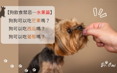 狗狗可以吃芒果嗎？狗可以吃西瓜嗎？狗可以吃葡萄嗎？【狗飲食禁忌─水果篇】