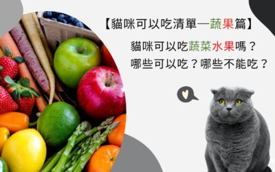 貓咪可以吃蔬菜水果嗎？哪些可以吃哪些不能吃？清單大公開