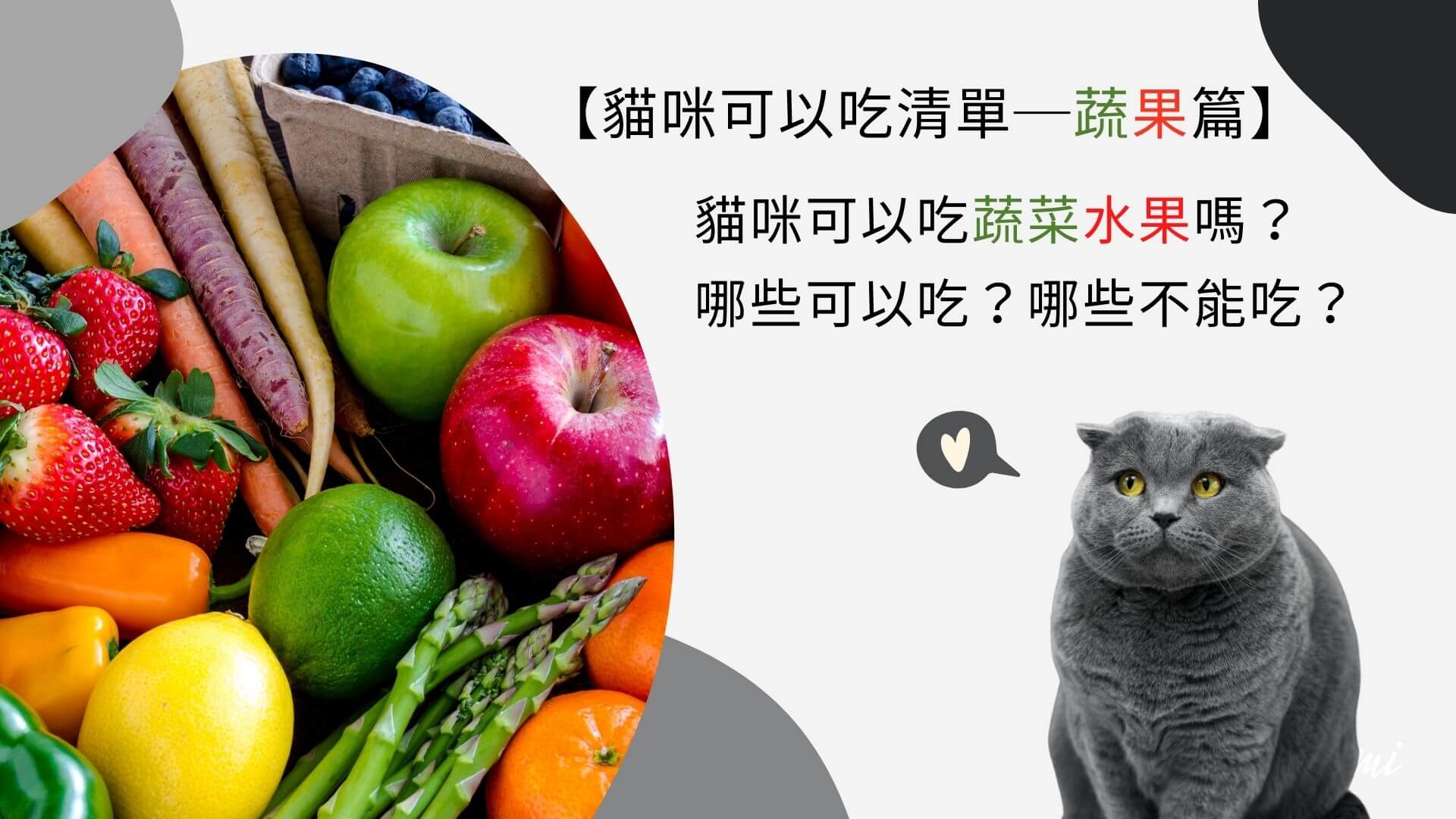 可爱小肥猫咪吃西瓜表情包图片素材免费下载 - 觅知网